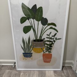 Beautiful Flower Picture