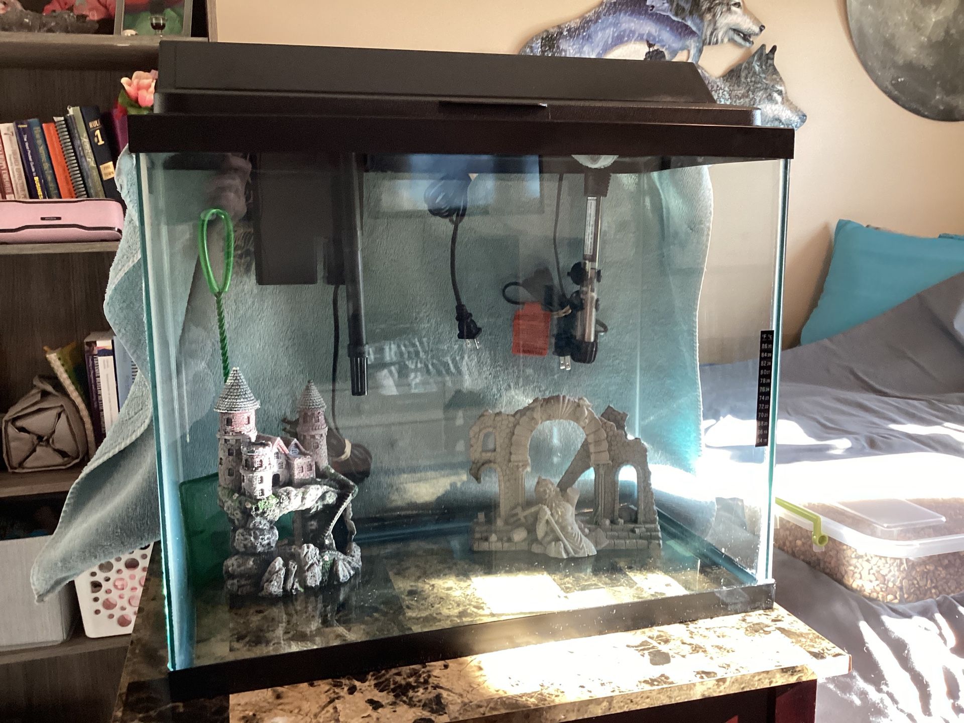 13 Gallon Fish tank With All The Accessories for Sale in Rantoul, IL