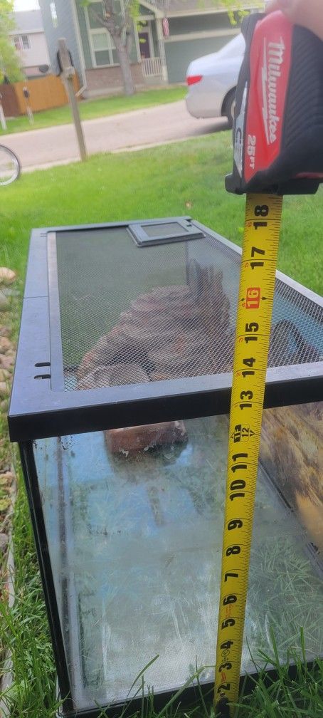 Fish Reptile Tank