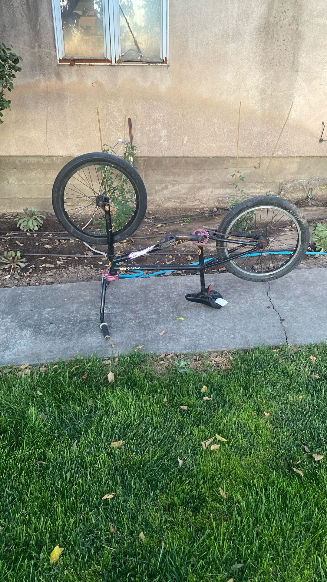 24 Inch Fitbike