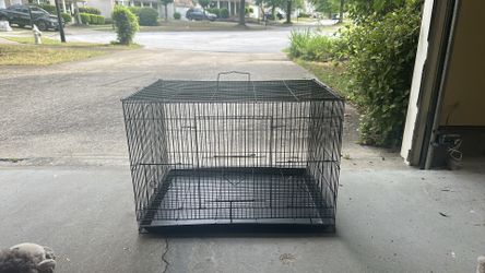 Small bird cage