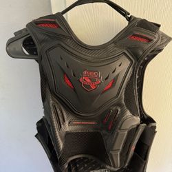 Vest