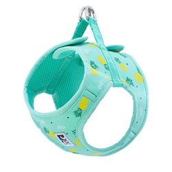 Dog Harness - Pineapple XL (Puppy)