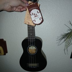 Ukulele Two Different Ones