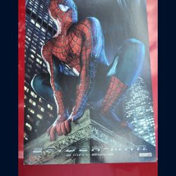 2002 Promotional Spiderman Poster
