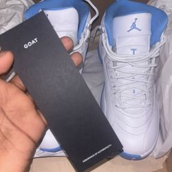 Melo Jordan 12s