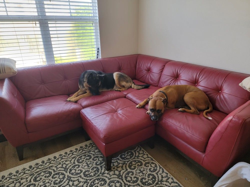 Red Genuine Leather Couch For Sale