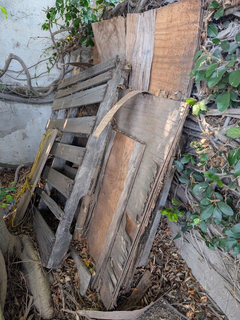 Wood For Bonfires