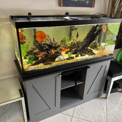 complete aquarium with cabinet
