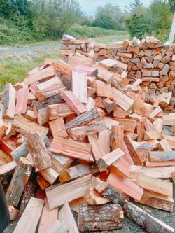 Split Firewood Seasoned
