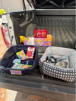 Pet and cat stuff