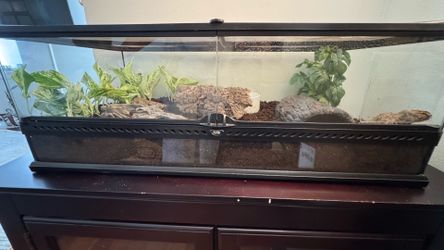 40 Gallon Reptile Enclosure Clean and New Setup!