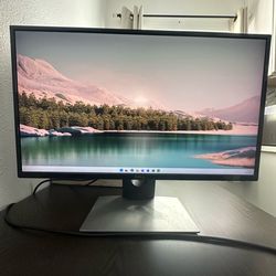 Dell 27 inch Monitor