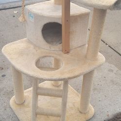 Cat Tree 