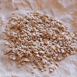 Semillas De Tomates Y Planta Sembrada