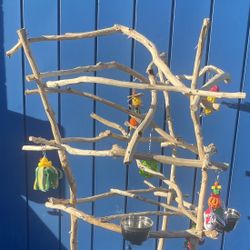 Custom Parrot Perch Tree… Each Is Unique ! Made Of Hard Durable Ribbon Wood 🪵… Parrot Socialization… Breeder Direct - Delivery = Yess !! 