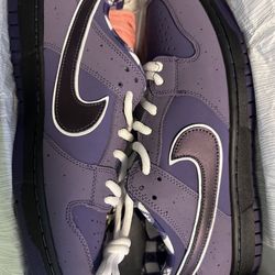 Purple Lobster Nike SB