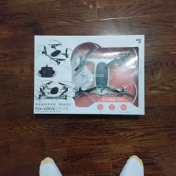 Tomorrow's,worromot Fly+drive Drone 