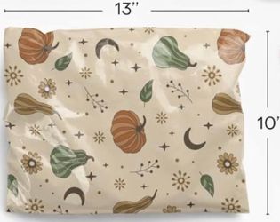 Poly Mailers 10x13 Set of 10