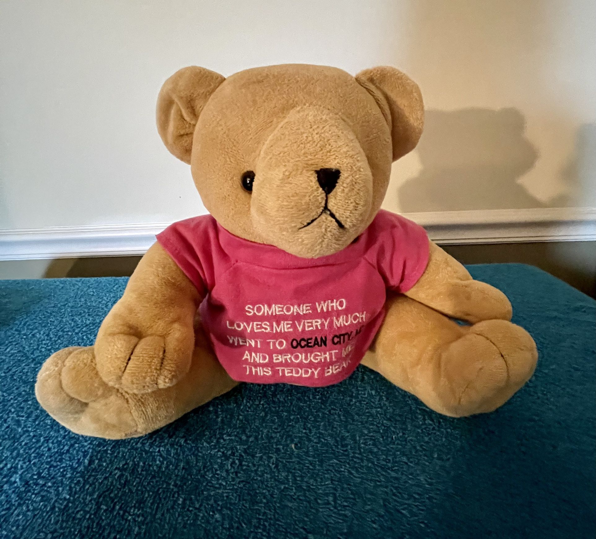 Bear In Pink shirt “Someone Who Loves Me Went To Ocean City, MD And Brought Me This Teddy Bear”