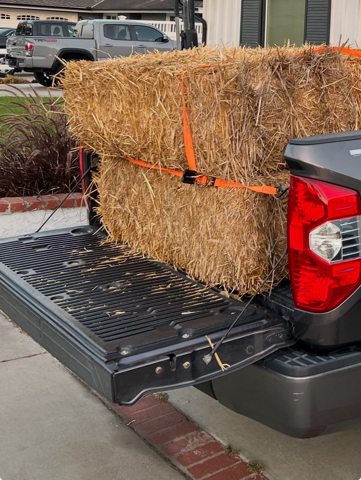 Free Hay Bales