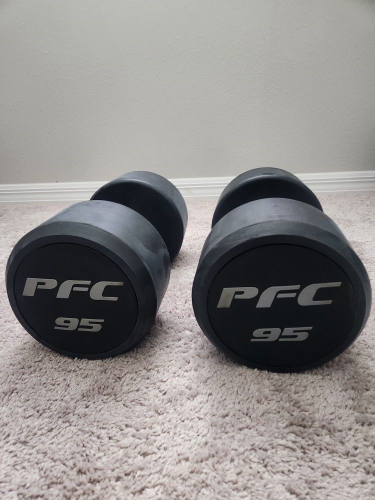 100 lb Dumbells (really 95lbs)