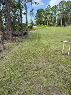 Lawn