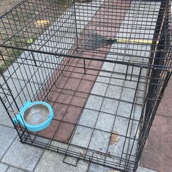 Large dog crate
