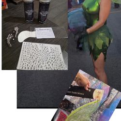 Adult Tinkerbell Costume 