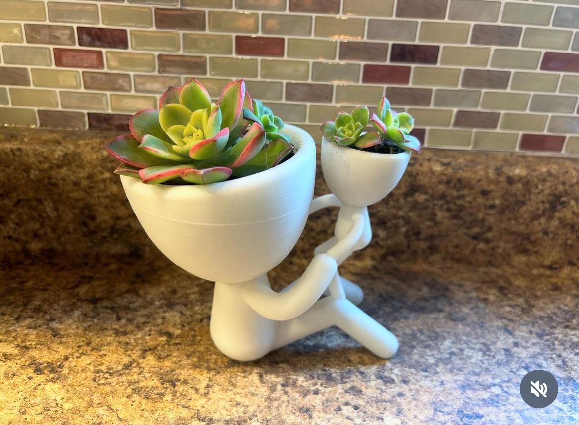 Planter With Succulents 