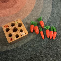 Wooden Carrot Sorting Puzzle