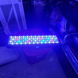 Evergrow IT2080 Reef LED