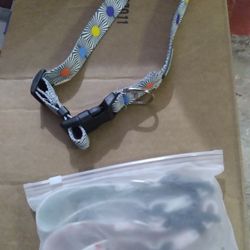 Heavy Duty Dog Collar 