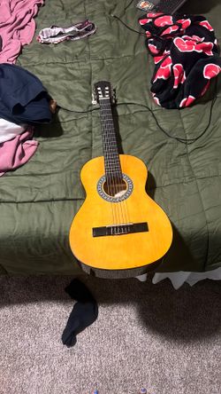 Guitar ( acoustic )