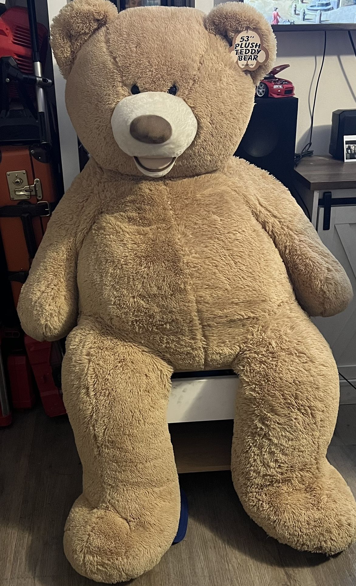 Costco Teddy Bear
