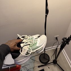 zonefreaks (Giannis Antetokounmpo) basketball shoes size 10.5