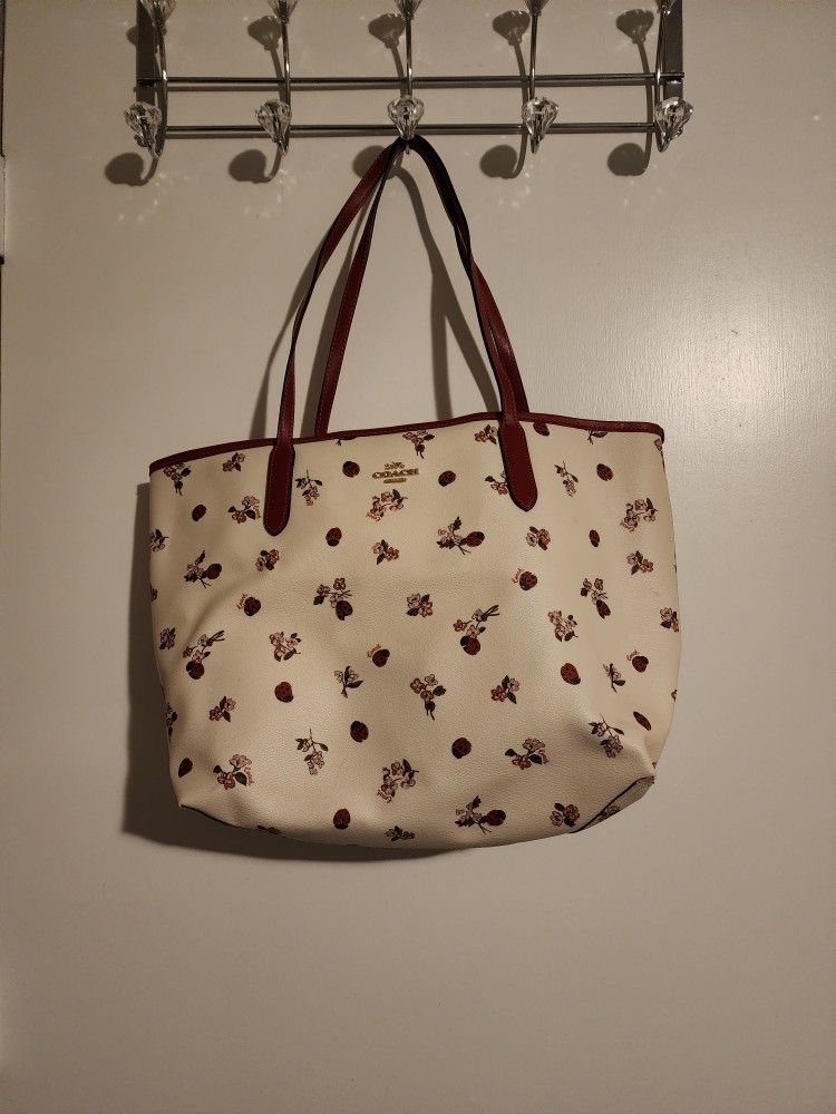 Ladybug Coach Purses