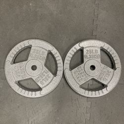 Standard 25lb Weight Plates