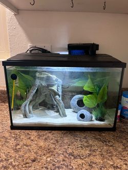 5 gallon fish tank with sand, decorations, filter, & thermometer. Has calcifications on the glass that can be removed with vinegar mix.