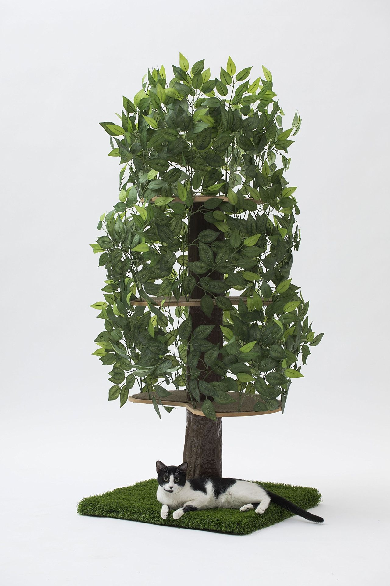 Petdwell CatHaven Cat Condo