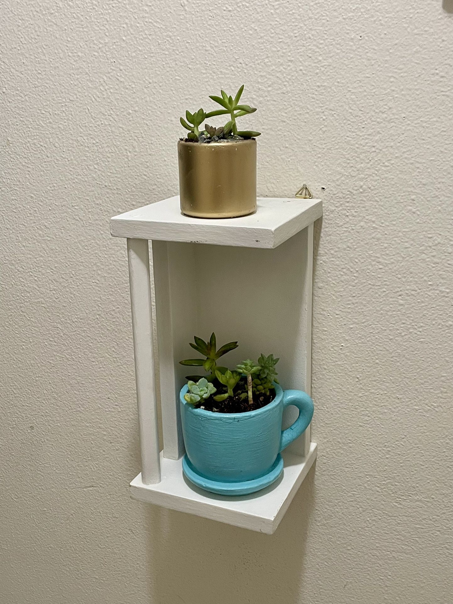 shelf with natural plants