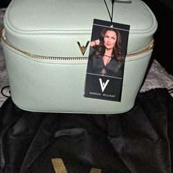Vanessa Williams purse