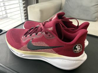 Nike Pegasus 41 - 11.5 - Florida State