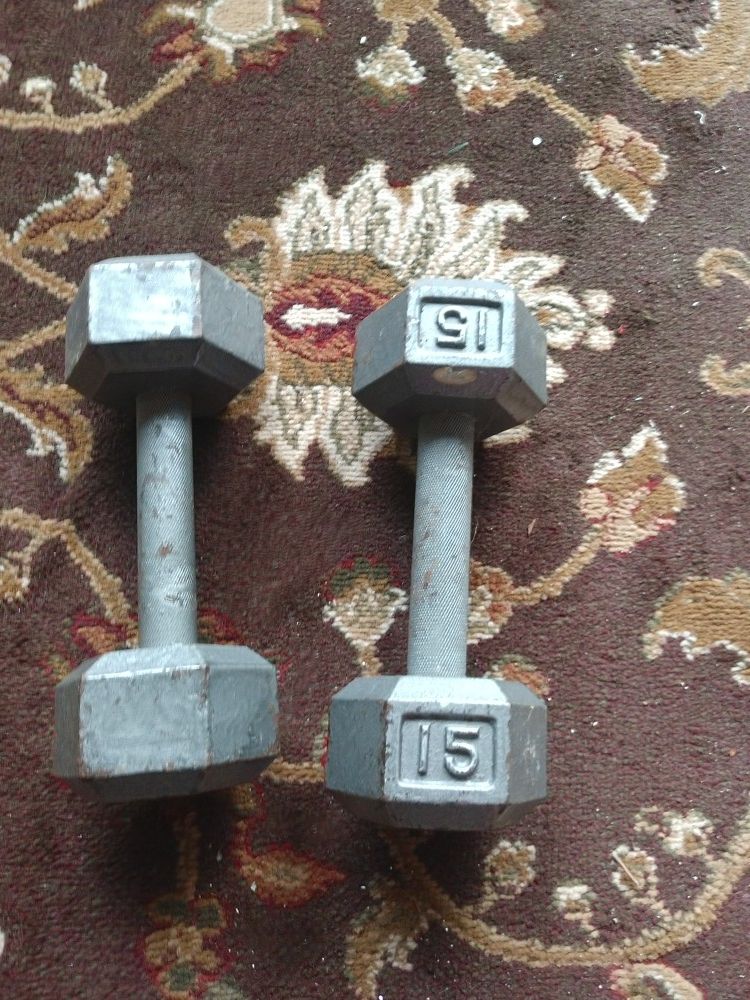 Two 15 pound weights!