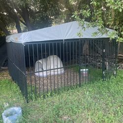 Dog Kennel