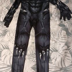 Black Panther Costume