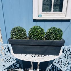 ARTIFICIAL TOPIARY WITH BLACK PLANTER