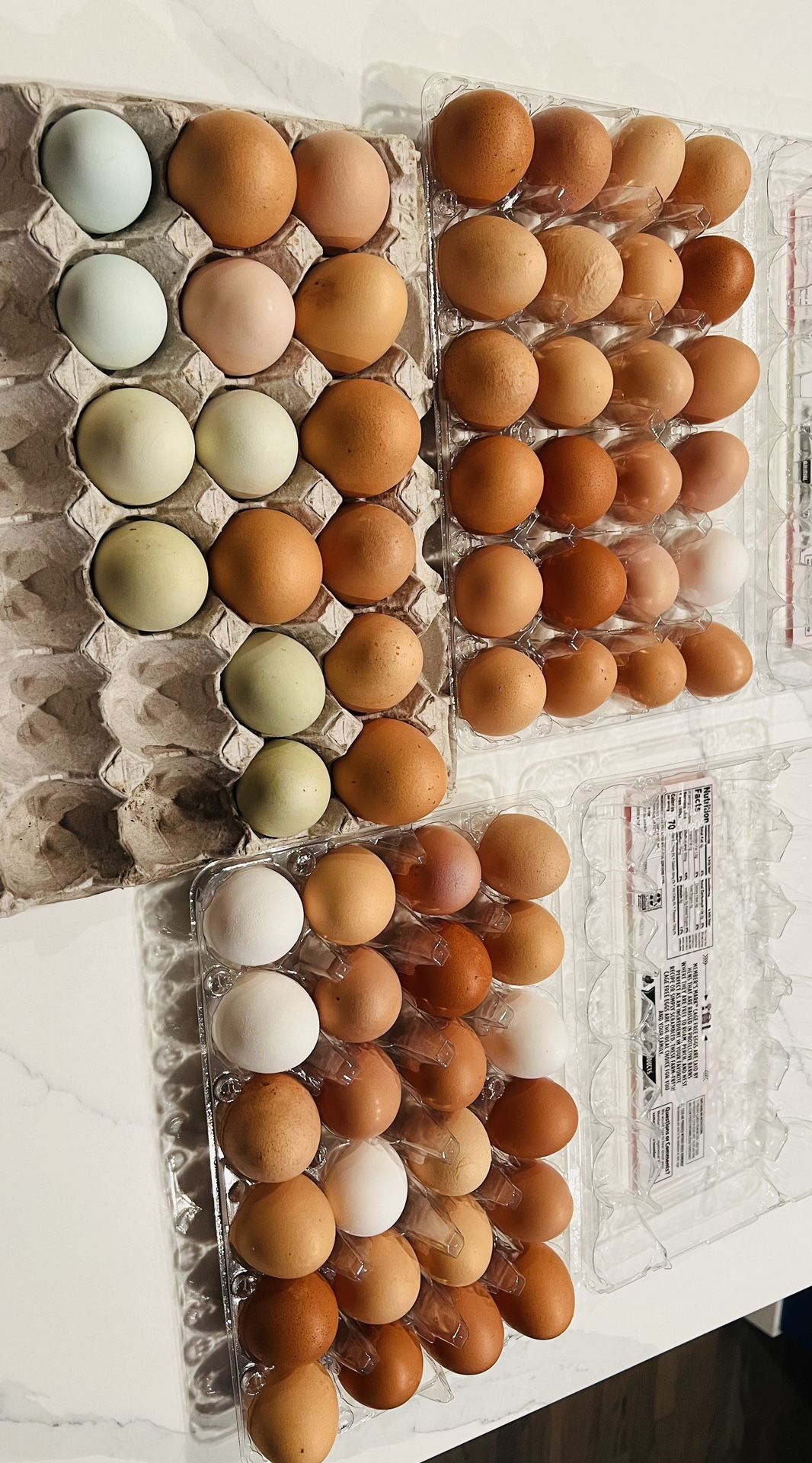 Huevos De Rancho $5.50 La Docena