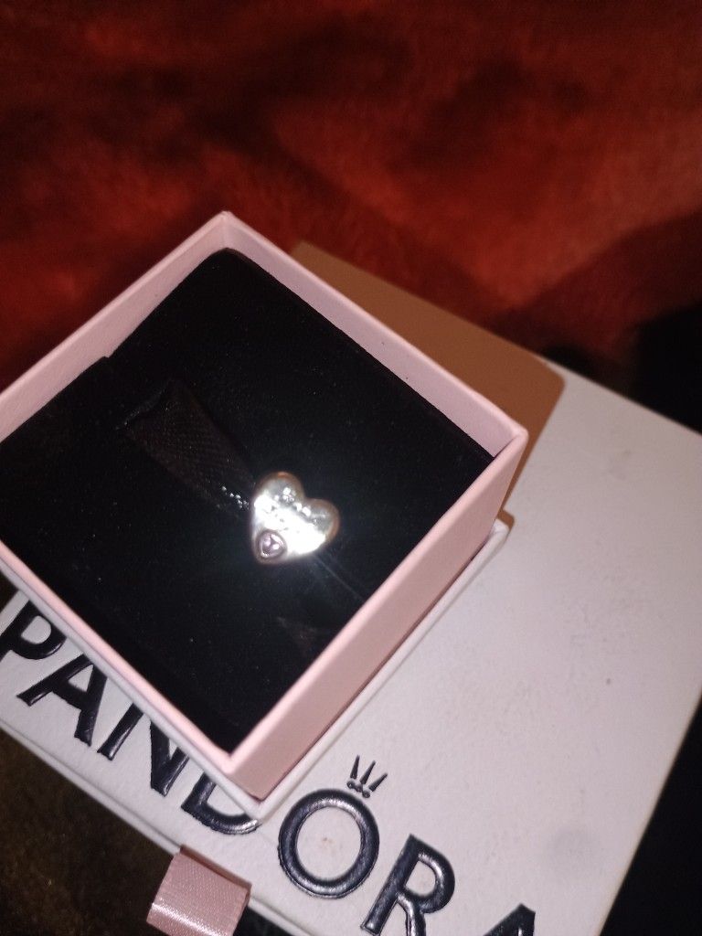 Pandora Charms & Bracletts