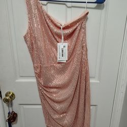 Rose Gold One Shoulder Dress Size Large 